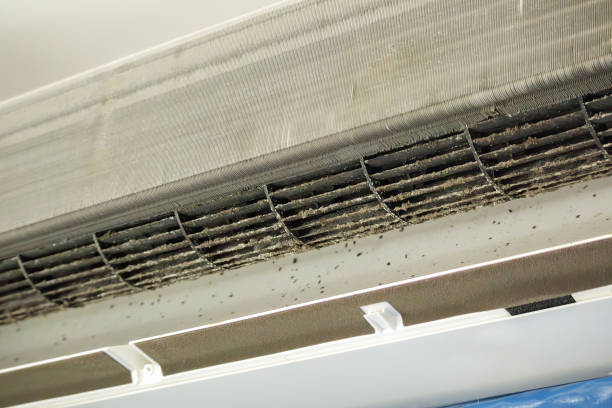 Best Affordable Duct Cleaning Services  in Barberton, WA